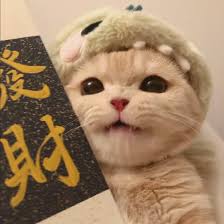 Avatar of Jayden Reyes